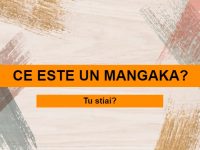 Ce este un mangaka? ce este un mangaka
