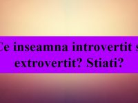 Ce inseamna introvertit si extrovertit? Ce inseamna introvertit si extrovertit
