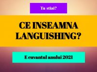 Ce inseamna Languishing? ce inseamna languishing