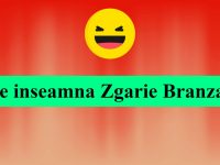 Ce inseamna Zgarie Branza? E o expresie cunoscuta la romani ce inseamna Zgarie Branza