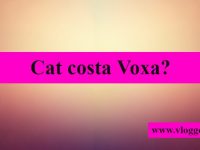cat costa Voxa