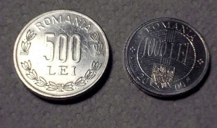 monede sau monezi