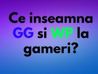 Ce inseamna GG si WP la gameri? ce inseamna GG si WP