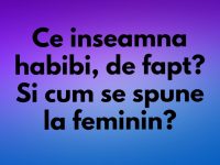 Ce inseamna habibi, de fapt? ce inseamna habibi