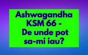 Ashwagandha KSM 66