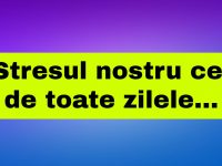 Stresul nostru cel de toate zilele