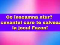 Ce inseamna ntur? E cuvantul care te salveaza la jocul Fazan! Ce inseamna ntur